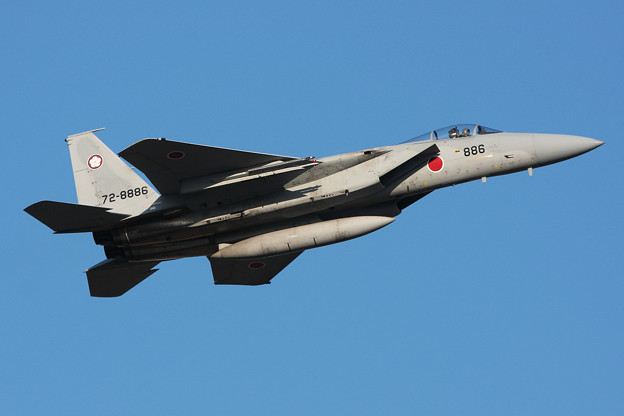 F-15J 8886 305sq CTS 2011.10
