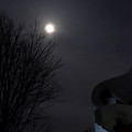 Photos: ウルフムーンの夜