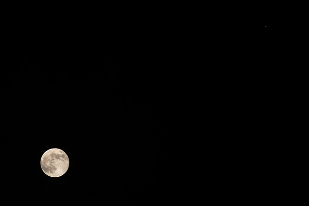 12月8日の満月と火星の接近
