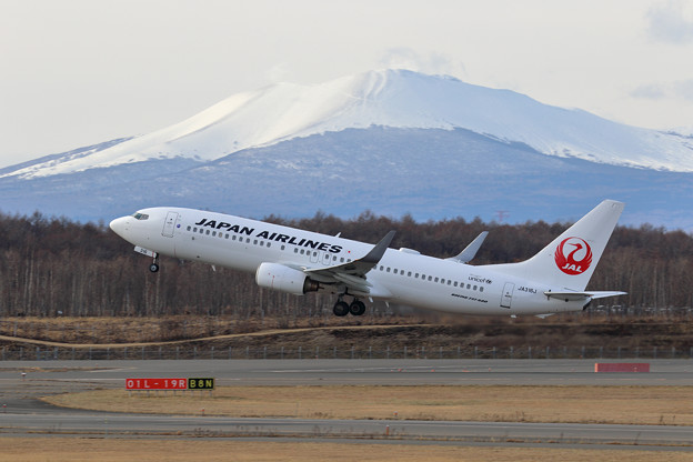 Photos: Boeing 737-800 JA316J JAL takeoff