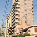 阪堺電車 モ161形（161号）