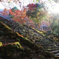 Photos: 高源寺　石段