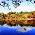 Photos: 高松の池