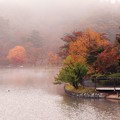 Photos: 高松の池 (5)