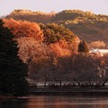 Photos: 高松の池 (10)