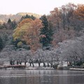 Photos: 高松の池 (11)