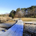 Photos: 高松の池 (8)