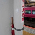 駅の手旗２　＠　新潟駅
