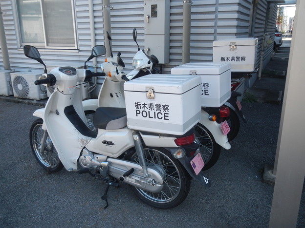 [Motorcycle] Honda Super Cub, Tochigi Prefectural Police