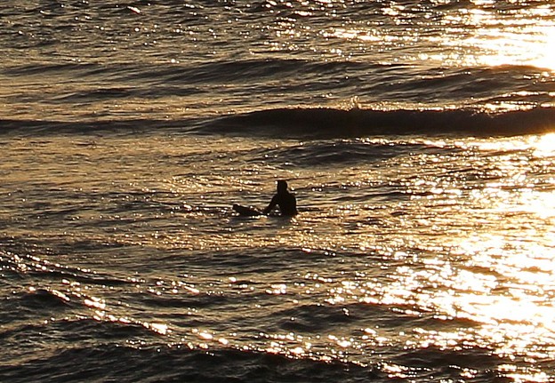 夕陽輝く海で波を待つ