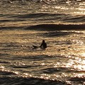 Photos: 夕陽輝く海で波を待つ
