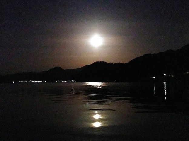 月明かりに照らされた海
