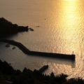 朝陽を浴びた新井崎漁港（２）
