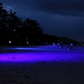 天橋立・砂浜ライトアップ（１）
