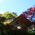 Photos: 山寺 211028 04