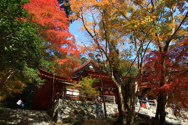 Photos: 談山神社 211116 04