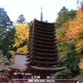 Photos: 談山神社 211116 06