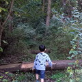 Photos: 甥っ子に森を案内してもらった