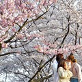 Photos: 満開の桜と乙女たち＠千光寺山