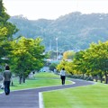 新緑の散歩道