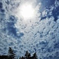 Photos: 竹林の雲と太陽＠梅雨の晴れ間の瑠璃山＠山頂遊歩道