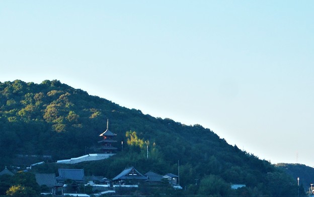 Photos: 西國寺三重塔＠新市庁舎屋上からの眺め21.10.15