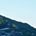 Photos: 西國寺三重塔＠新市庁舎屋上からの眺め21.10.15