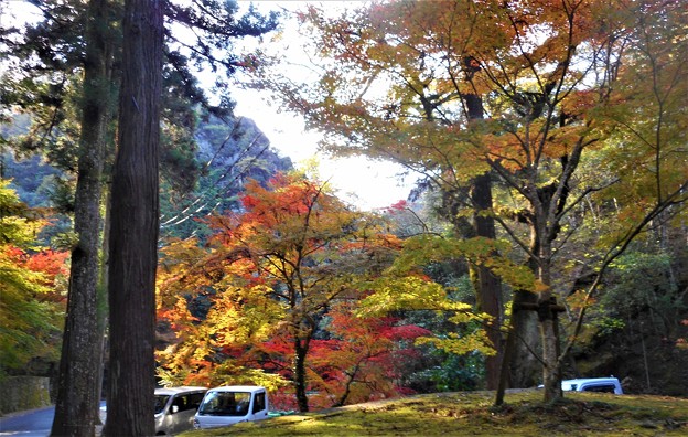 Photos: 深山幽谷の秋の紅葉＠仏通寺川沿いのﾊｲｷﾝｸﾞｺｰｽ