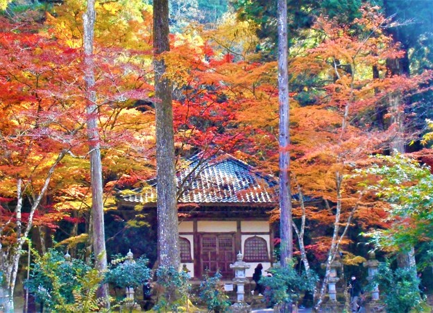 Photos: 深山幽谷の苔むす輪藏（経蔵）＠仏通寺の秋
