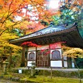 Photos: 苔むす経蔵（輪蔵）の秋＠古刹・仏通寺の紅葉