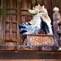 Photos: 本殿前の木彫狛犬＠三原・御調八幡宮