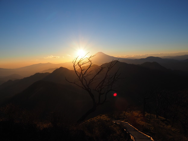 Photos: 夕陽の登山道