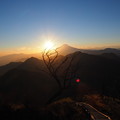 夕陽の登山道