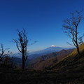 Photos: 丹沢山付近からの眺め
