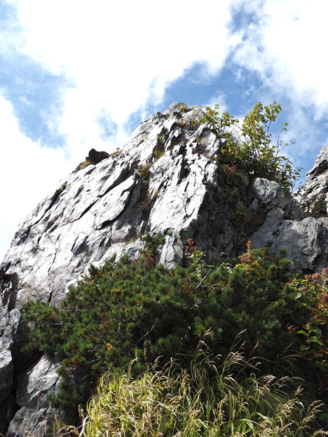 Photos: 輝く岩