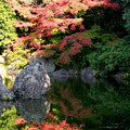 Photos: 万博記念公園ー池に写る紅葉