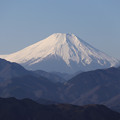 Photos: 高尾山からの富士山