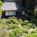 Photos: 長楽寺「満天躑躅、どうだんつつじ」の庭