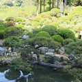 Photos: 長楽寺満天星の庭