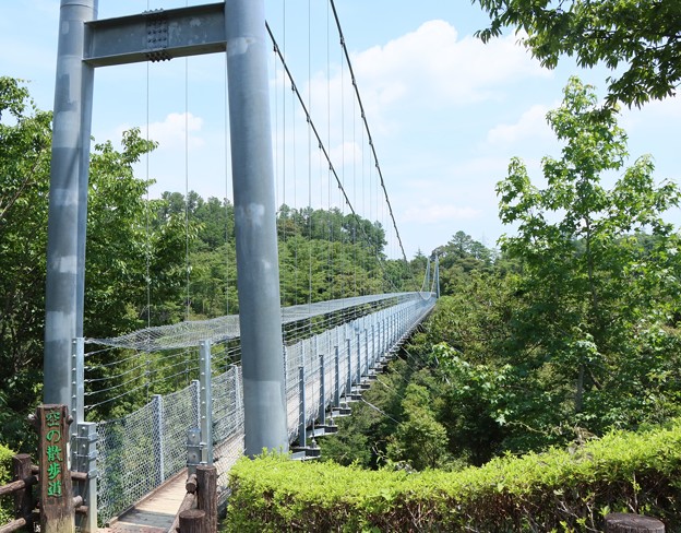Photos: 森林公園吊橋「空の散歩道」