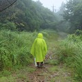 Photos: 富幕山は今日も～雨だった～(^^♪