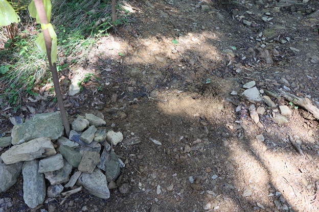 富幕山登山道中央に木の根が高く出ていたので整備しました。