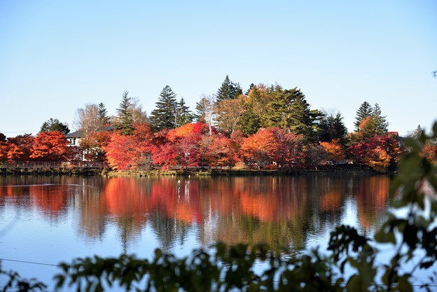 Photos: 紅葉の季節