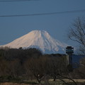 富士山_風景 F5265