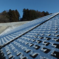 Photos: 初雪_守谷 F5323