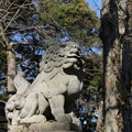 Photos: 狛犬_神社 D9998