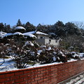 Photos: 雪景色_守谷 D0025