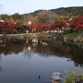 Photos: 円山公園_京都 D2022