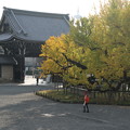 Photos: 西本願寺_京都 D2216