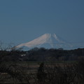 富士山_散歩 F5796